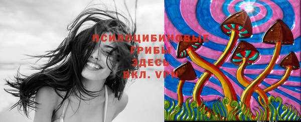 ПСИЛОЦИБИНОВЫЕ ГРИБЫ Белокуриха