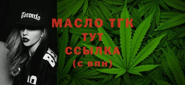ALPHA PVP Каменка