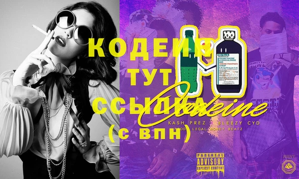 spice Богородск