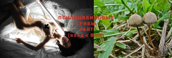 spice Богородск